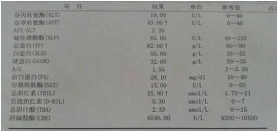 保肝药不管用?北京专家卢书伟带你正确养肝、护肝、抗肝病